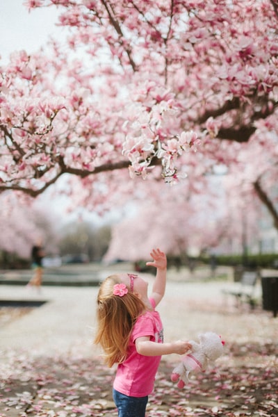 樱花树下的女孩
